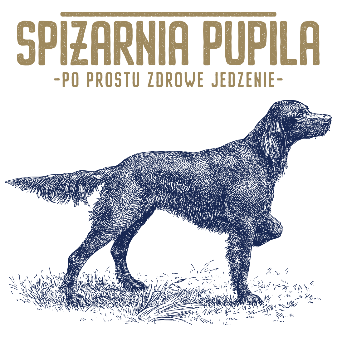 Spiżarnia Pupila po prostu zdrowe jedzenie logo